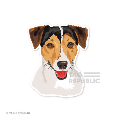 Fluffy Friends, Jack Russell - vinyylitarra