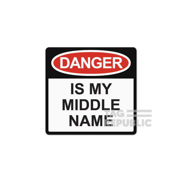 Alert My middle name - vinyylitarra